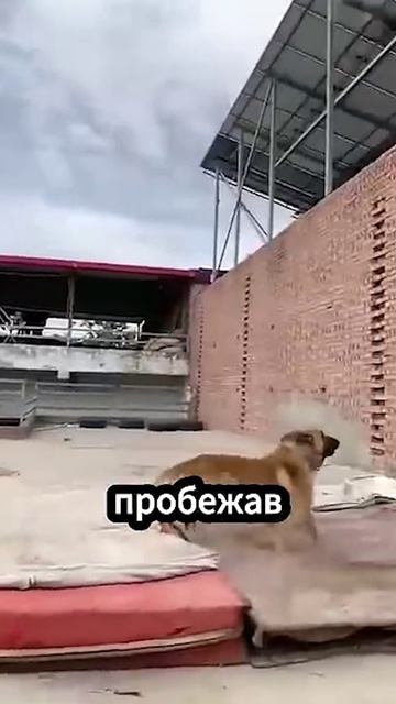 Как отучить подростка сидеть за компьютером