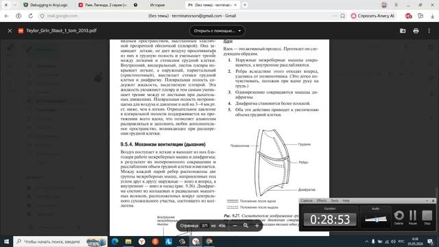 тейлор грин стр 350 375