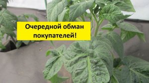 Как выбрать черную агроткань - мульчу от сорняков? Я купила на ОЗОНЕ неудачно...