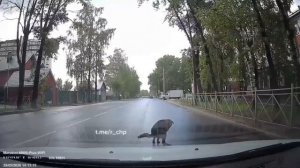 Настоящий подонок из Сыктывкара.