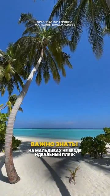 Важно знать! На Мальдивах не везде идеальный пляж!
