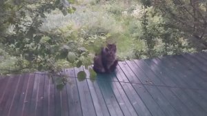 Люськин вечер.