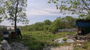 Участок. Спилили дерево