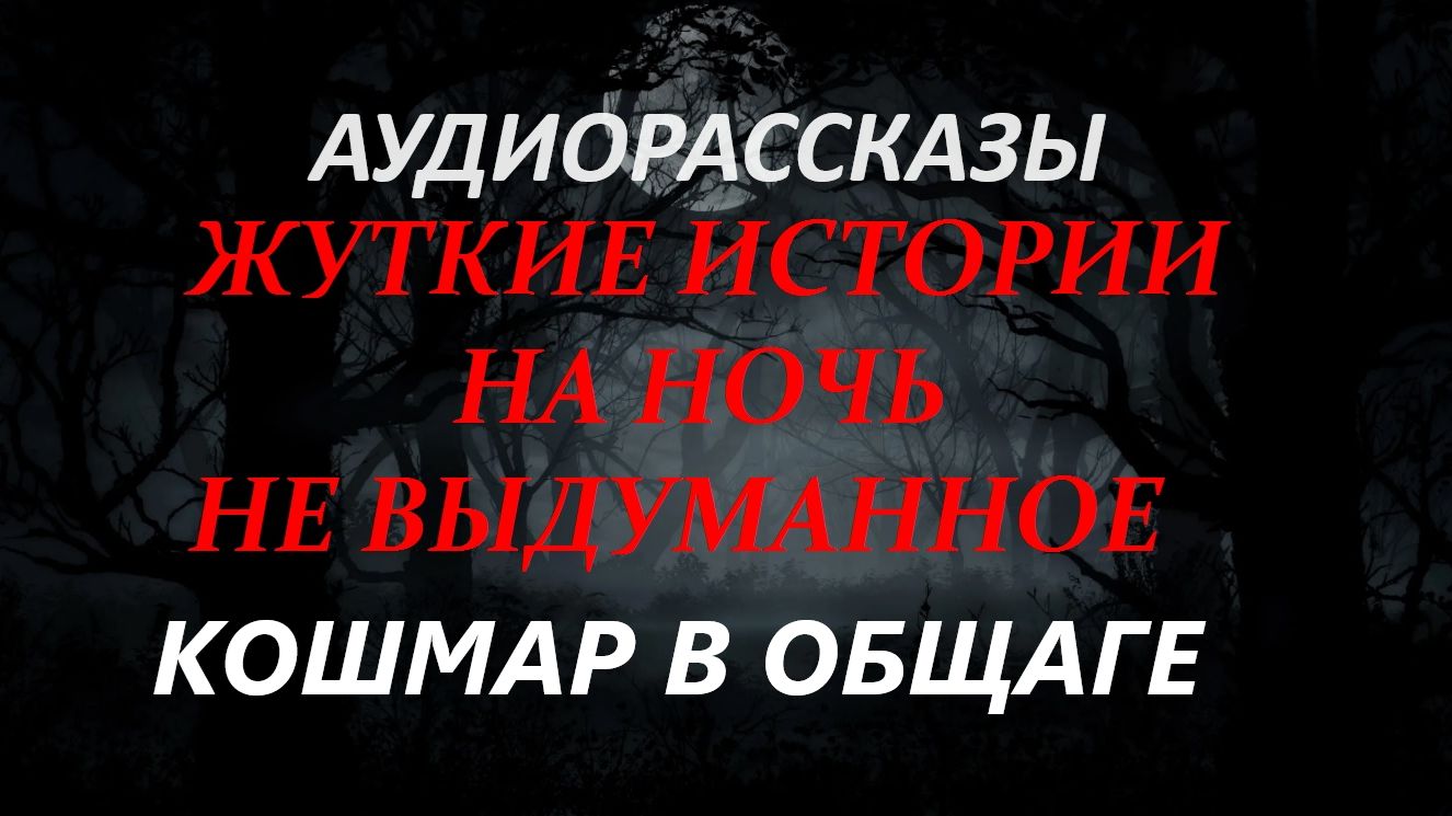 СТРАШНЫЕ РАССКАЗЫ НА НОЧЬ-КОШМАР В ОБЩАГЕ