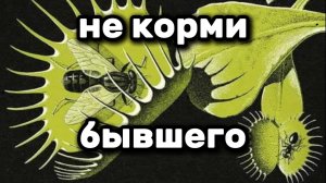 Слив энергии на бывших. Подкаст / болталка