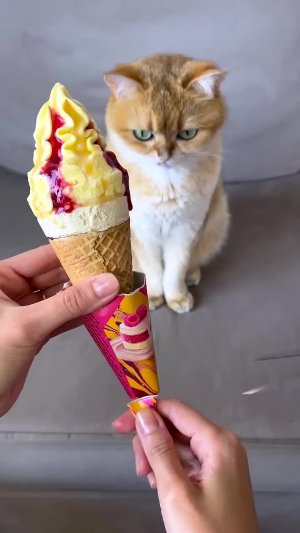 You Won't Believe Her Reaction To The Tiny Piece! 🔥 #Viral