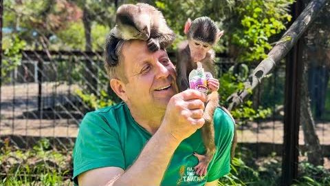 Николь и Финик ТАК ЛЮБЯТ Олега Зубкова, что ни в какую не хотят ОТПУСКАТЬ ЕГО КО ЛЬВАМ!