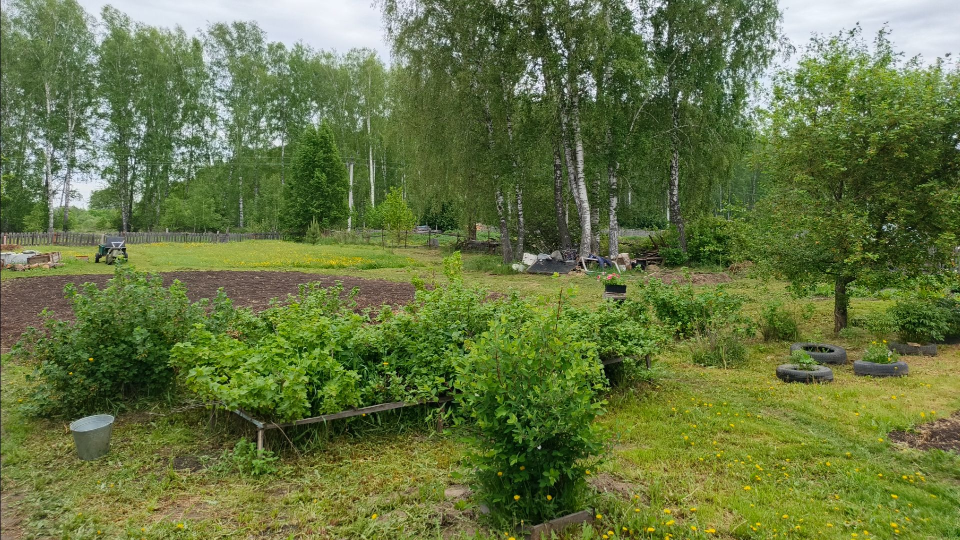 Деревенская жизнь Навели порядки у уток и в огороде а так же высадили все грядки смотреть онлайн
