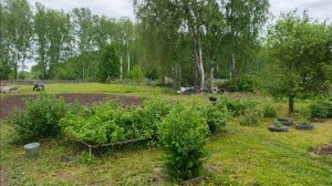 Деревенская жизнь Навели порядки у уток и в огороде а так же высадили все грядки