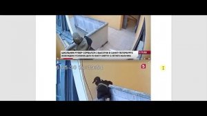 Гибель юного руфера в Петербурге
