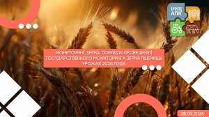 Мониторинг зерна. Порядок проведения государственного мониторинга зерна пшеницы урожая 2026 года