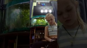 VID_20260601_153617.3gp