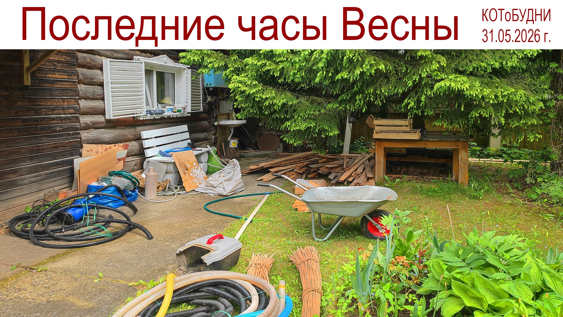 КОТоБУДНИ последних часов Весны - 2026 года