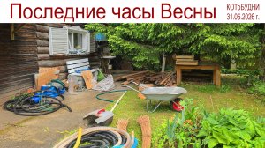 КОТоБУДНИ последних часов Весны - 2026 года