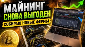 Майнинг снова выгоден. Собрал новую ферму для майнинга Pearl. Майнинг на видеокартах 2026
