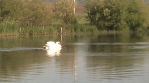 Рыбалка в первый  день лета  .