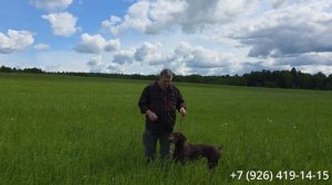 Ежедневные занятия в поле
