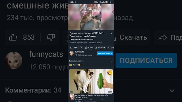 1000016610.mp4 смотреть онлайн