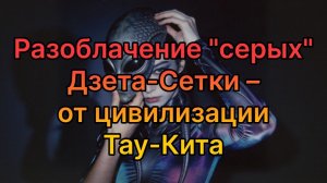 Разоблачение ＂серых＂ ДЗЕТА-СЕТКИ от цивилизации ТАУ-КИТА ｜ 🛸Фрагмент эфира № 185. Ченнелинг.
