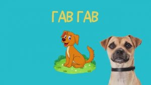 Учимся говорить/Развитие речи для детей/Запуск речи/Развивающий мультик про животных для малышей