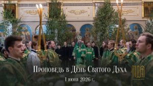 Проповедь в День Святого Духа 2026