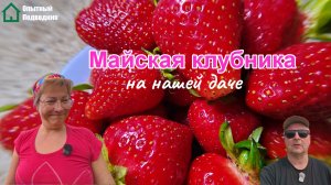 ОПЫТНЫЙ ПОДВОДНИК_Май 2026 г