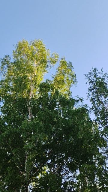 Утро доброе!