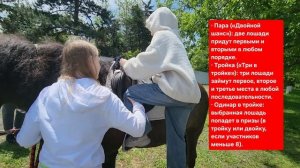 Краснодарский ипподром, хорошего дня и выигрышных ставок!