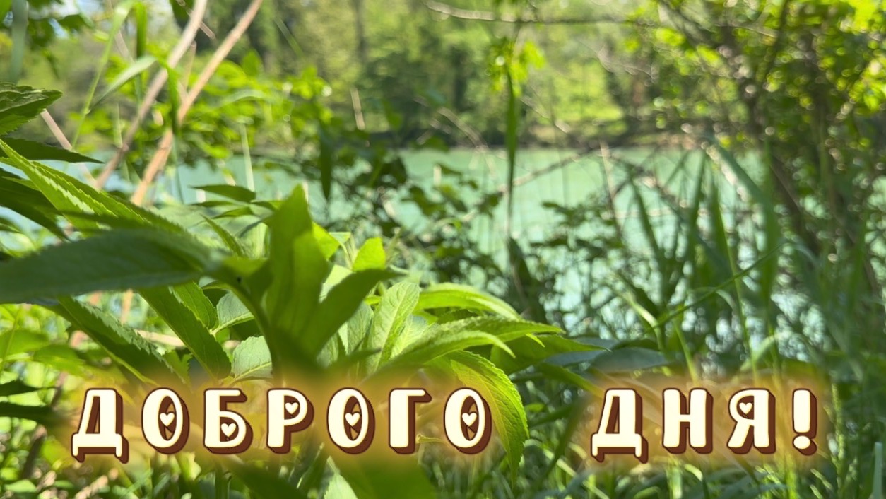 Хорошего Дня! Отличного настроения! смотреть онлайн