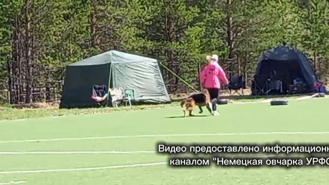 Баларис ЭРА, 2 года 4 месяца. Проверка рабочих качеств в Сургуте, май 2026