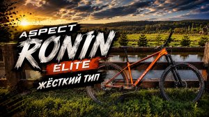 Жесткий тип - Aspect RONIN ELITE