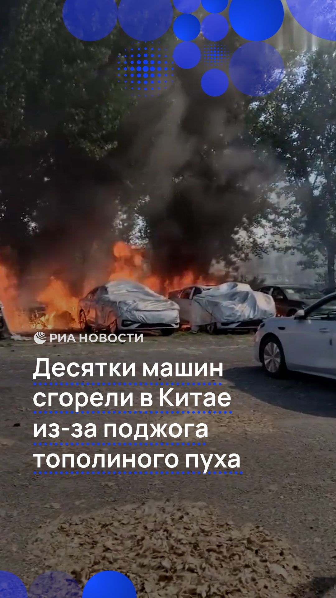 Десятки машин сгорели  в Китае из-за поджога тополиного пуха