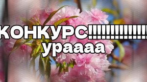объявляю конкурс на 30 (31) пдп!