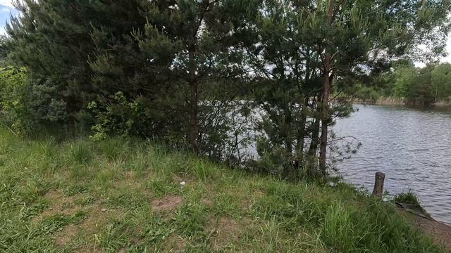 2026-06-01 в Ногинск в фонд и по кладбищам // встречаем лето