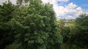 СОЛОВЕЙ В ПАРКОВОМ 30.05.26