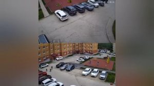Оказывается он дал даме порулить