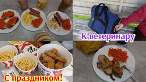 Клещ у собаки 🐶 В кино 🎬 С праздником 🥳