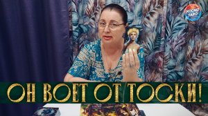 ОН ВОЕТ ОТ ТОСКИ! ЧТО ЖДАТЬ ОТ НЕГО В БЛИЖАЙШЕЕ ВРЕМЯ? | Гадание таро расклад