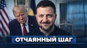 Зеленский ударил по Трампу  В Киеве сделали громкое заявление