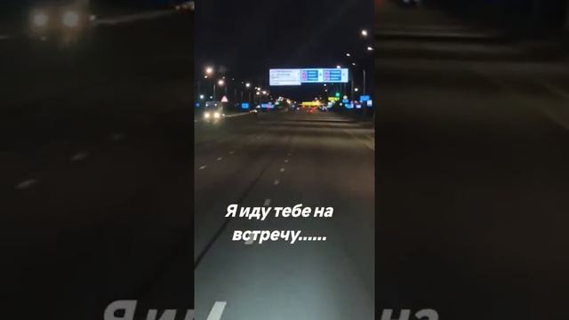 природа и пес