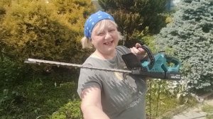 Стрижка ивы Хакуро-Нишики,козьей ивы,барбариса,туи в стиле ниваки 01-06-2026