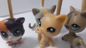 LPS фильм: «Слова ограничены»!