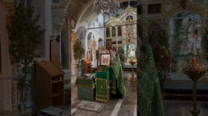 31.05.2026 - Молебен о воинах на Троицу; прот.Николай Цирке
