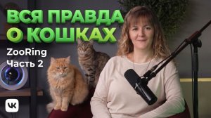 Кошачье поведение: ответы эксперта