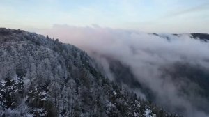 #4 Красивое Видео Природы