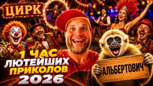 🔥😂 1 ЧАС СЛИШКОМ ЛЮТЫХ ВИДЕО ПРИКОЛОВ 2026! 🔥🤣 ЛУЧШИЕ СКЕТЧИ ПРИКОЛЫ ЮМОР 🤯 НАТУРАЛ АЛЬБЕРТОВИЧ