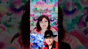 Незабудка» Ион Суручану
