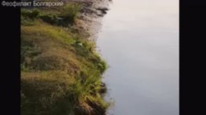 Евангелие дня 1.06. Мф.18:10-20 (зач. 75) Еф. 5:8-19 (зач. 229)
День Святого
Духа. Седмица 1-я по Пя