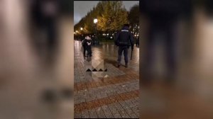 Задержание кавказцев за драку с полицией