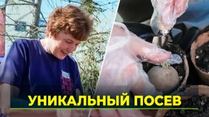 Во всём мире отметили Международный день картофеля